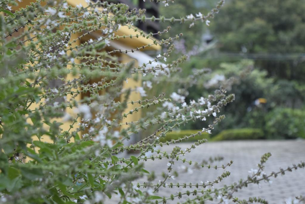 Отель Pousada Verde Novo Висконди-ди-Мауа Экстерьер фото